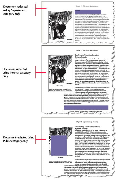 Example of different areas redacted by using categories